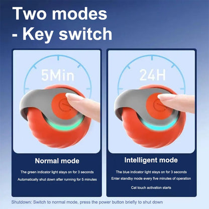 Electronic interactive smart dog/cat toy