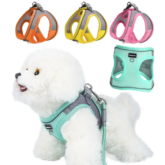 Adjustable Dog Harness for Small Dogs