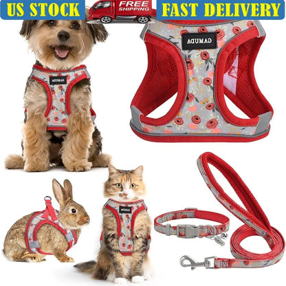 Adjustable Small Dog Harness Collar Leash Set