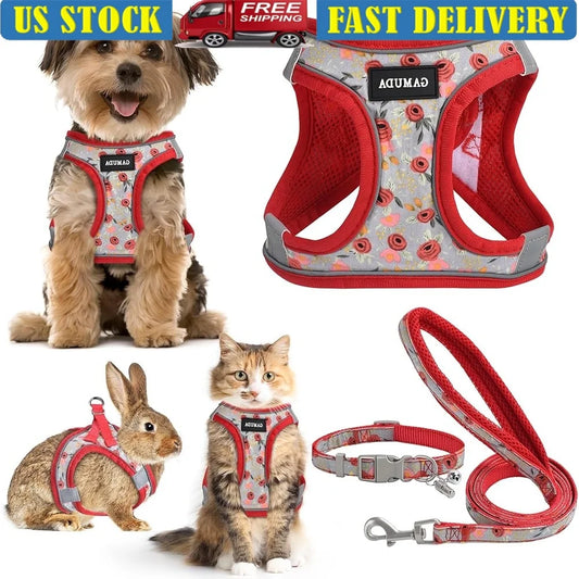 Adjustable Small Dog Harness Collar Leash Set