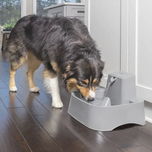 Automatic fountain cat and dog drinking bowl
