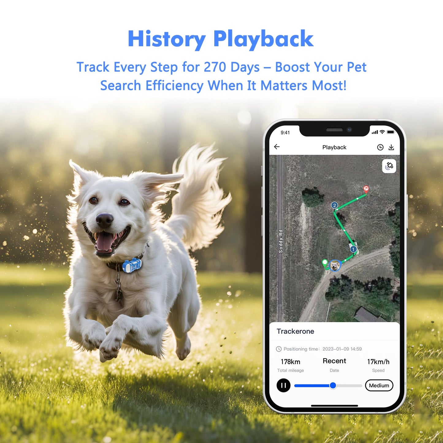 ‌4G Dog Cat GPS Tracker for Pets -