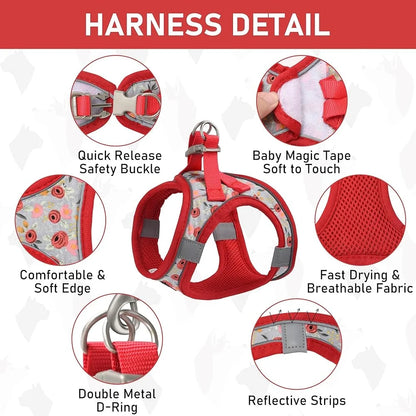 Adjustable Small Dog Harness Collar Leash Set