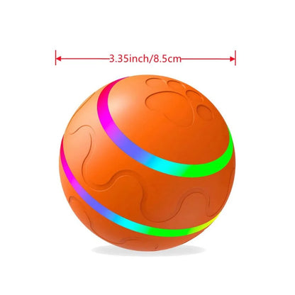Electric interactive dog chew toy/LED light