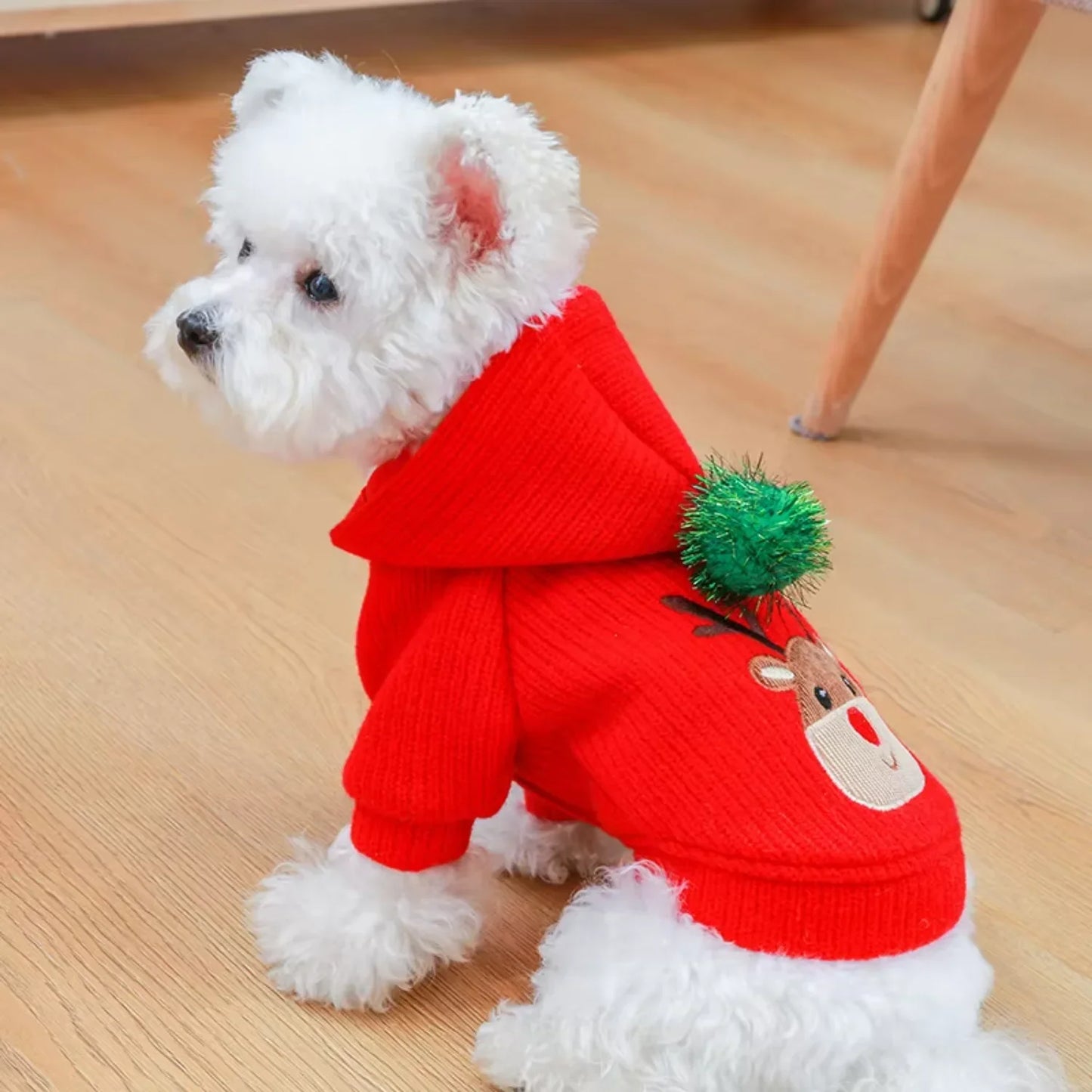 Warm Winter   Small Dog Clothes