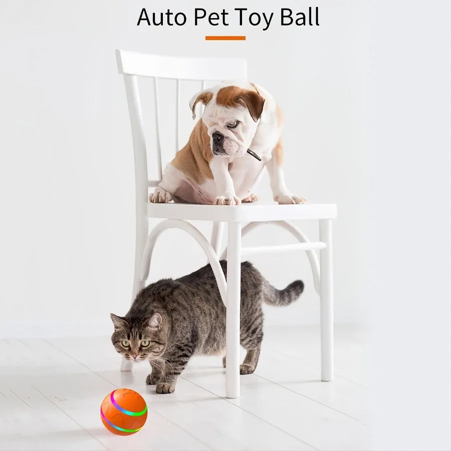 Electric interactive dog chew toy/LED light