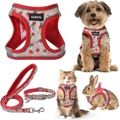 Adjustable Small Dog Harness Collar Leash Set