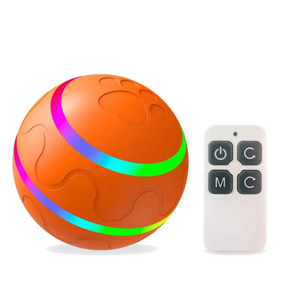 Electric interactive dog chew toy/LED light