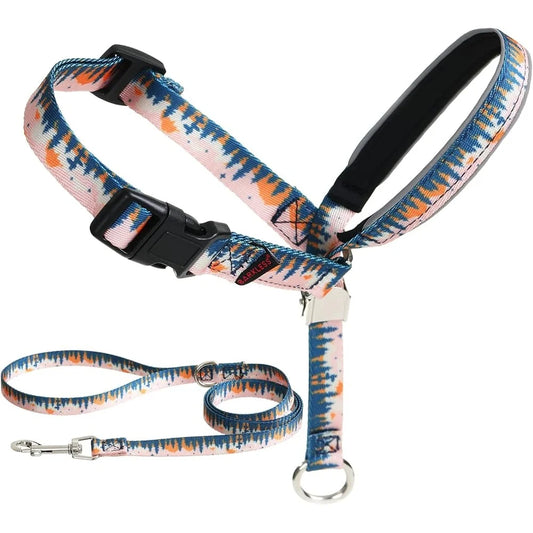 Dog Head Collar Anti-Pulling Halter with Leash