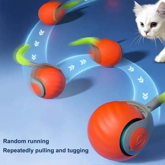 Electronic interactive smart dog/cat toy