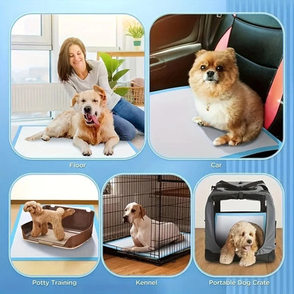100/50/40PCS Dog Training pads