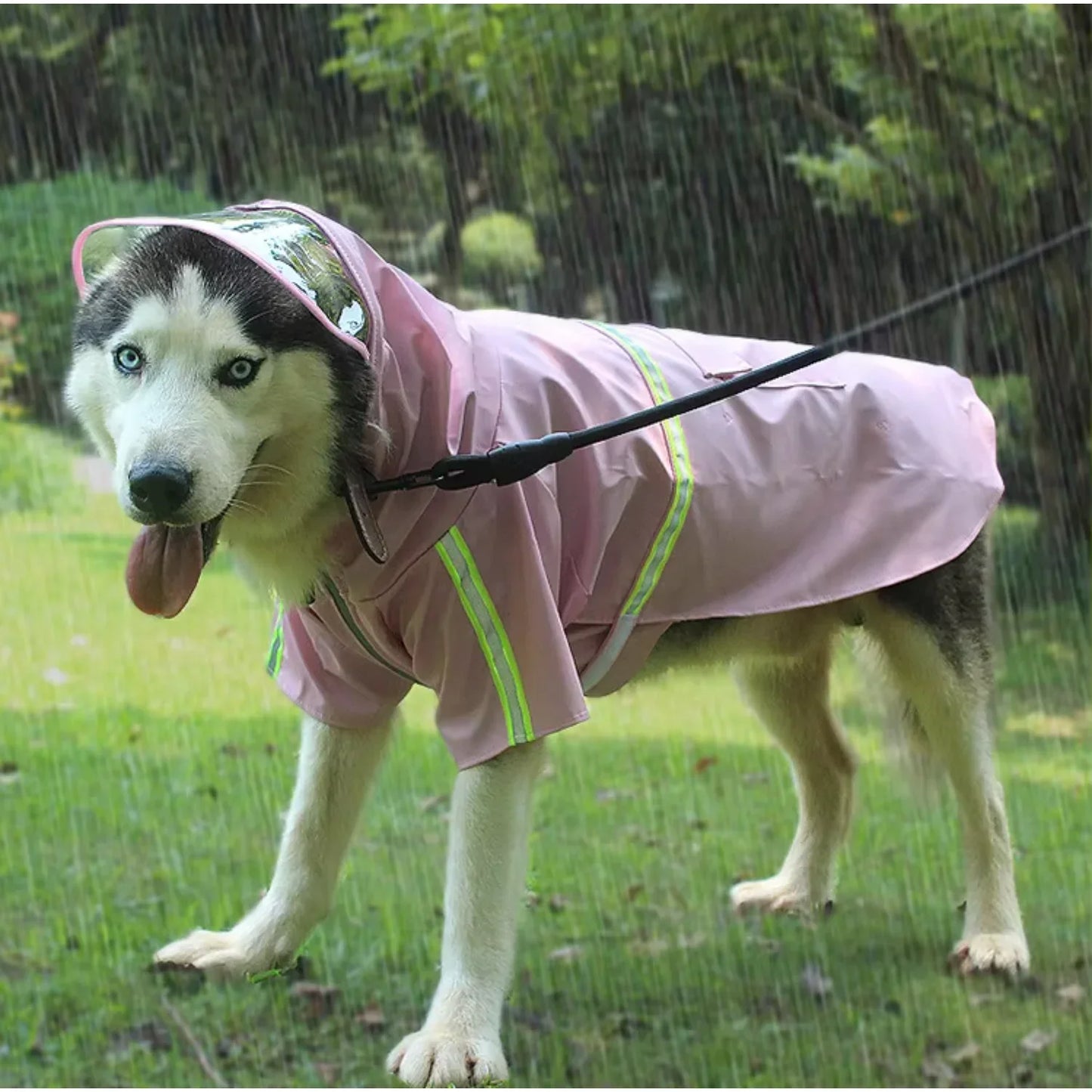 Waterproof designer hoodies for large dogs