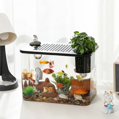 Transparent turtle/fish tank aquarium