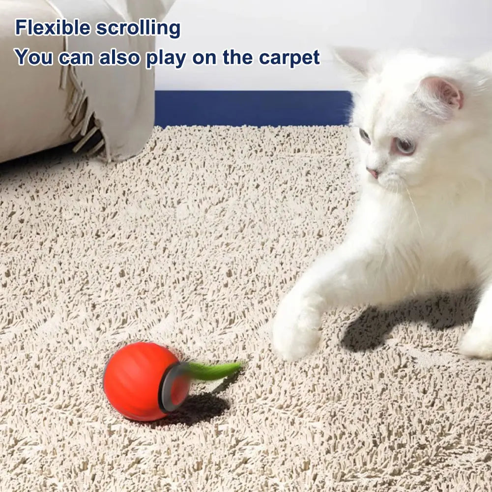 Electronic interactive smart dog/cat toy