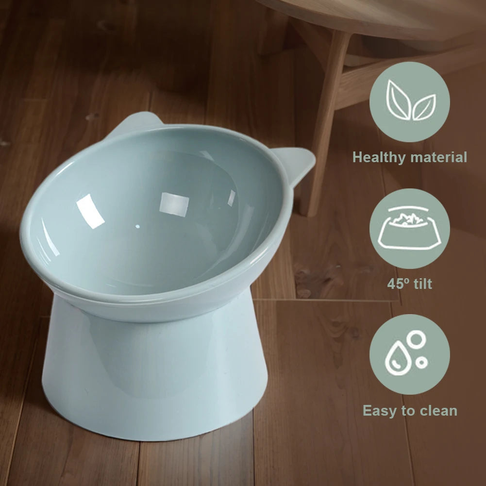 Tilted Elevated Cat And Dog Bowl