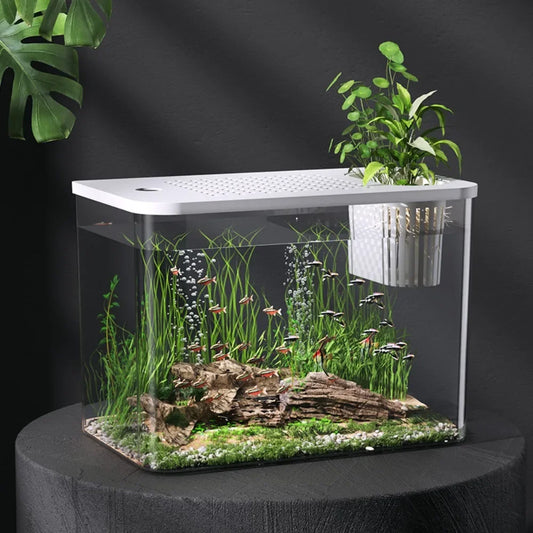 Transparent turtle/fish tank aquarium
