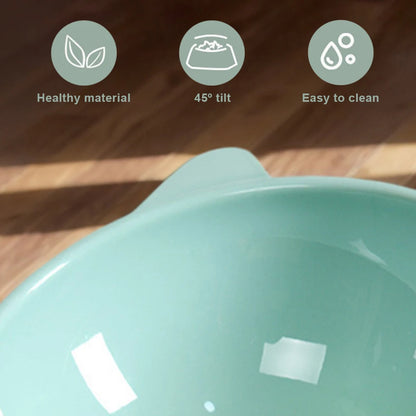 Tilted Elevated Cat And Dog Bowl