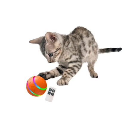 Electric interactive dog chew toy/LED light
