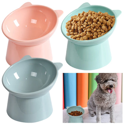 Tilted Elevated Cat And Dog Bowl