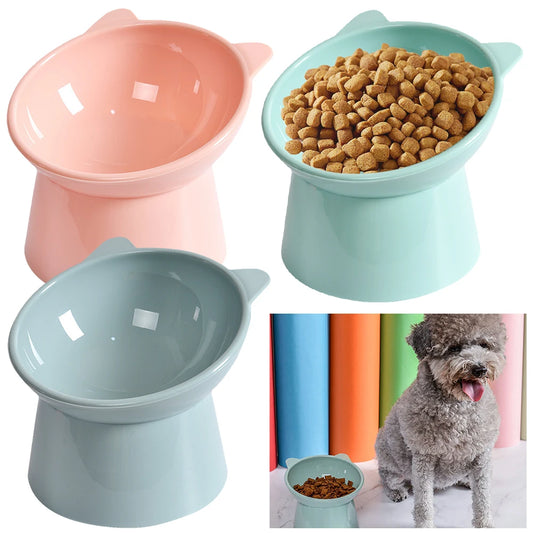 Tilted Elevated Cat And Dog Bowl