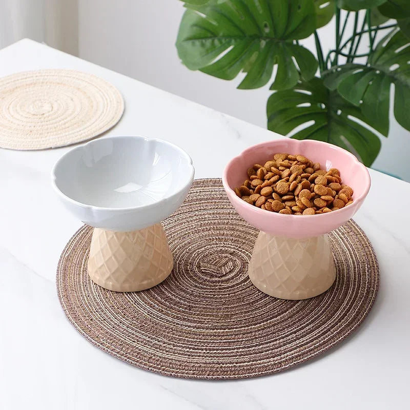 Raised and Tilted Pet Food and Water Bowl
