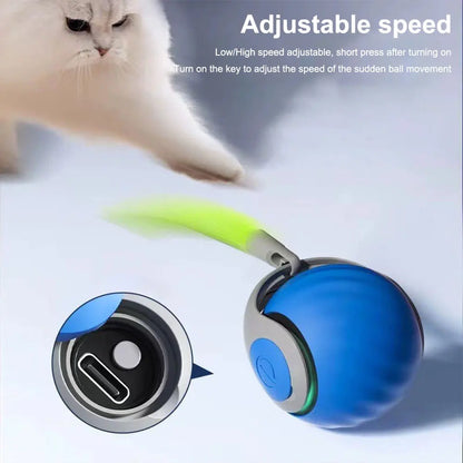 Electronic interactive smart dog/cat toy